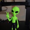 Alien dedo V bermuda, chinelo