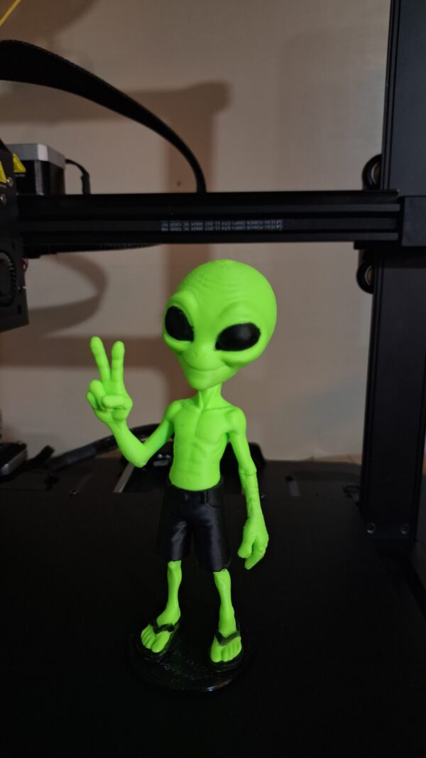 Alien dedo V bermuda, chinelo