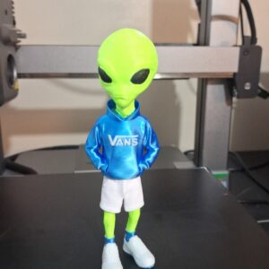 Alien bermuda moleton logo