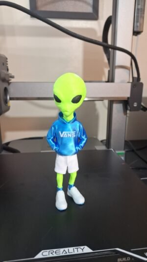 Alien bermuda moleton logo