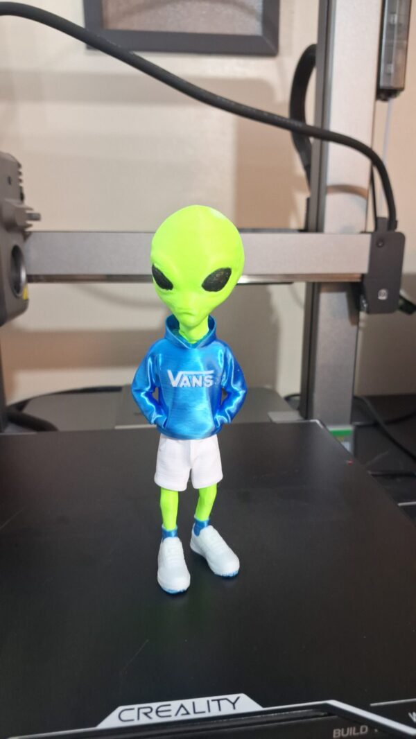 Alien bermuda moleton logo