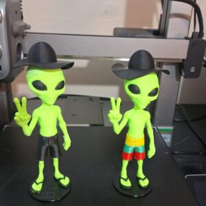 Alien bermuda listrada, cata ovo
