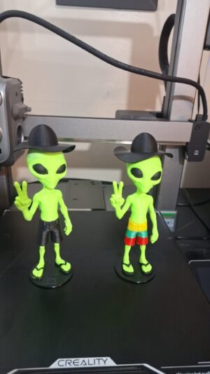 Alien bermuda listrada, cata ovo