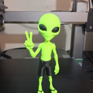 Alien dedo V bermuda, chinelo