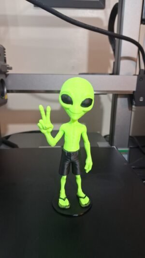 Alien dedo V bermuda, chinelo